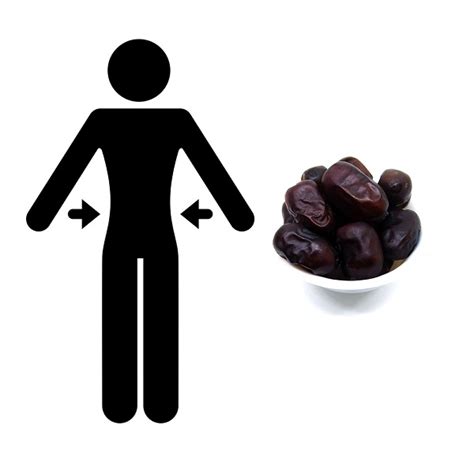 Benefits of Dates in Weight Loss - https://www.irandriedfruit.com