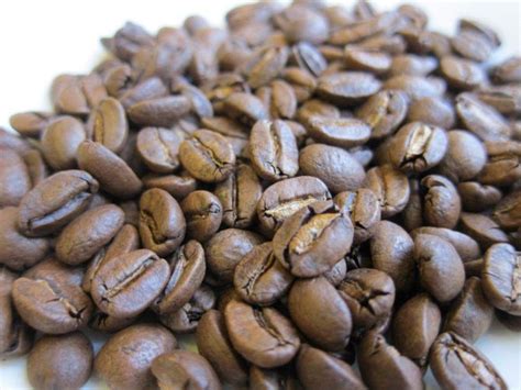 10 lbs of Authentic, 100% Certified Jamaica Blue Mountain Coffee Beans | Roasted to Order ...