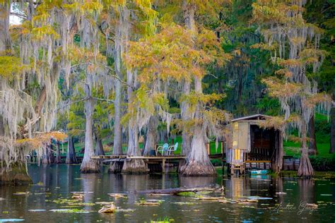 Caddo Lake | Uncertain, Texas - Photo Series on Behance