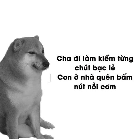 Meme cheems là gì mà sao ai cũng thích? | Vietcetera