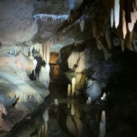 Buchan Caves Victoria Australia | Victoria australia, Adventure, Cavern