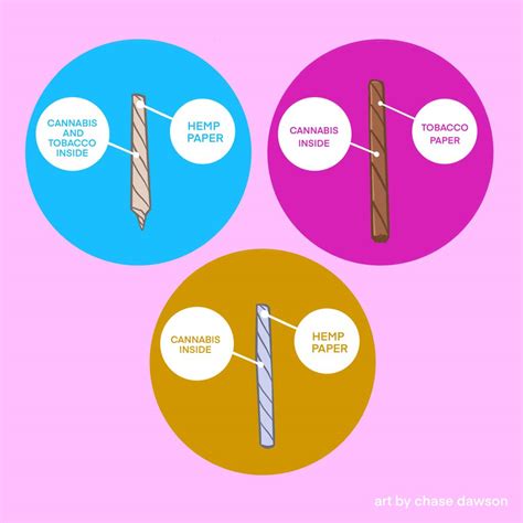 Blunt vs Joint vs Spliff - Key Differences Explained