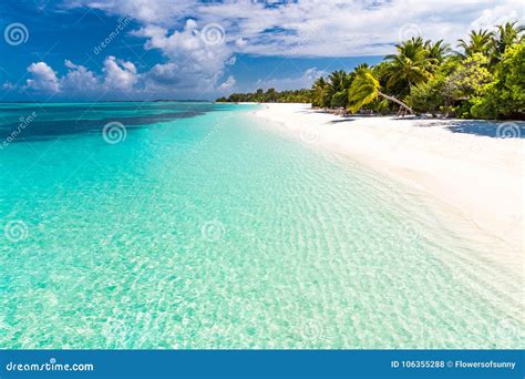 Share 64+ maldives background wallpaper latest - songngunhatanh.edu.vn