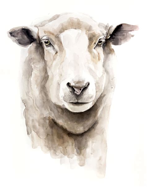 SHEEP Painting, SHEEP Art, Watercolor Sheep, Watercolour Sheep, Farm ...