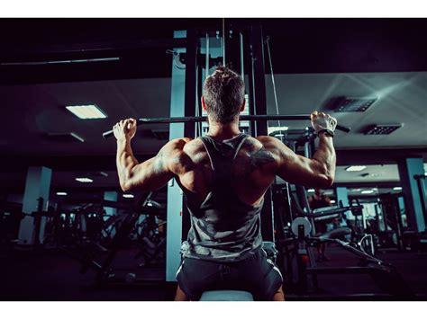 Should Everyone go to the Gym? - Nutrabay Magazine