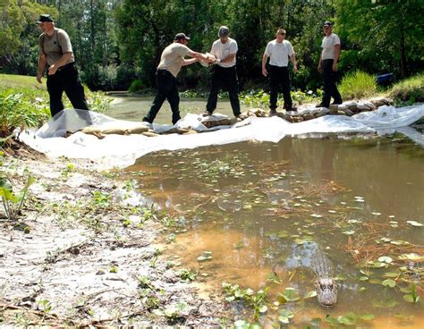 Okefenokee Swamp Park remains open despite fire