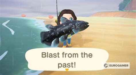 Animal Crossing Coelacanth: How to catch a Coelacanth in New Horizons | Eurogamer.net