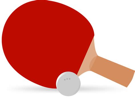 Free vector graphic: Ping-Pong, Table Tennis, Paddle - Free Image on Pixabay - 311935