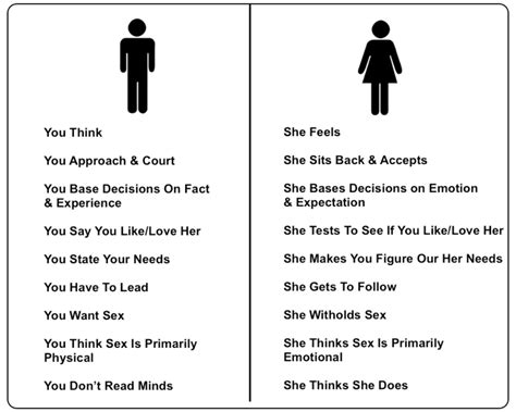 The Difference Between the Male and Female Brain - Men versus Women