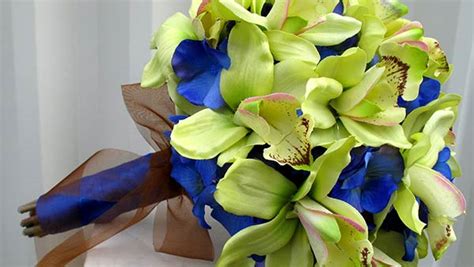 Find Out What Different Colors of Orchids Mean?