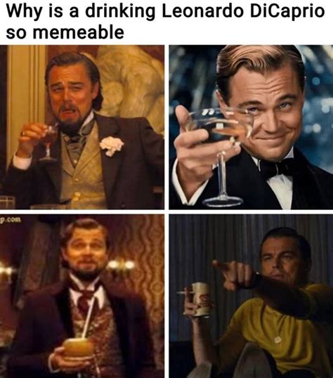 50+ Funny Leonardo Dicaprio Memes from Django Unchained