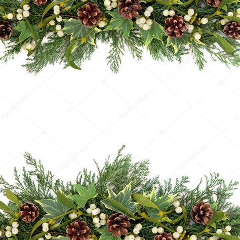 Christmas Greenery Border — Stock Photo © marilyna #30469315