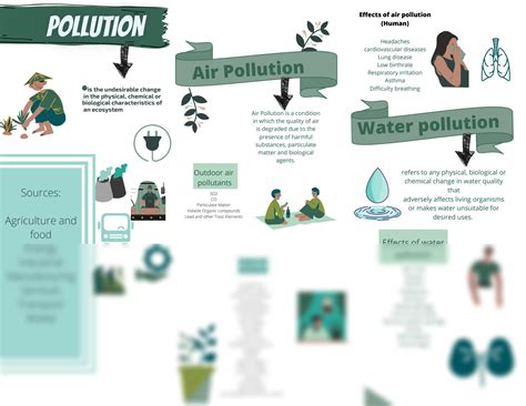 SOLUTION: Pollution infographic - Studypool