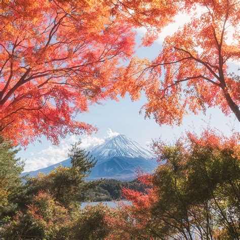 Japan in Autumn: A Colourful Photography Tour – Dennis Hellwig Photography