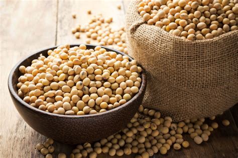 Top Benefits of Soy Proteins, Uses and Side Effects | LoveLocal