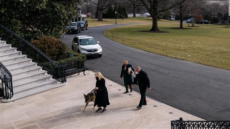 First dogs Champ and Major Biden moved into the White House Sunday - CNNPolitics