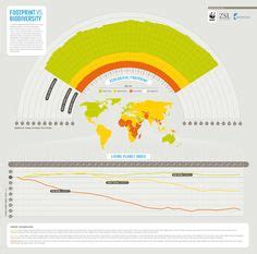 50 Biodiversity Infographics ideas | biodiversity, infographic, animal infographic