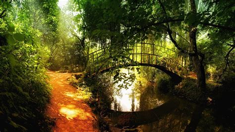 nature, Landscape, Trees, Forest, Bridge, Sunlight, River, Reflection Wallpapers HD / Desktop ...