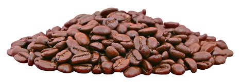 Coffee Beans Footer Transparent Png Stickpng Images