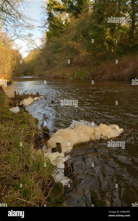 Pollution from agricultural runoff Stock Photo - Alamy