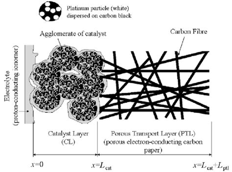 Catalyst layer and gas diffusion layer microstructure. Reprinted with... | Download Scientific ...