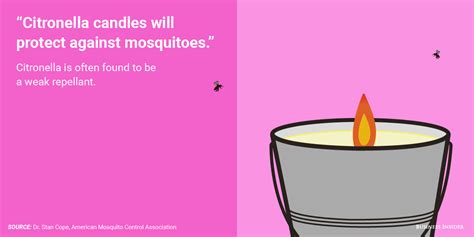 The Most Common Mosquito Myths