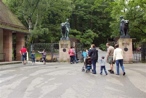 Nuremberg Zoo banks on fuel cells | Viessmann