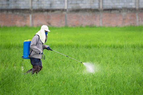 Environmental Factor - July 2020: Low-cost approach may lower adolescent pesticide exposure