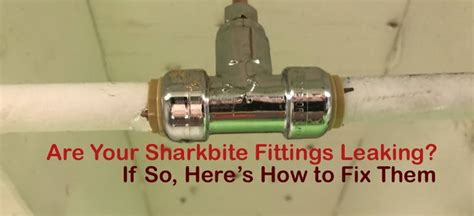 Can You Remove A Sharkbite Fitting - FitnessRetro