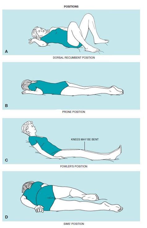 Image result for dorsal recumbent | Nursing school notes, Nursing school tips, Nclex