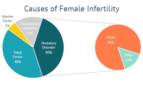 Dr. Silva explains how PCOS affects your fertility and how you can overcome it | Shady Grove ...