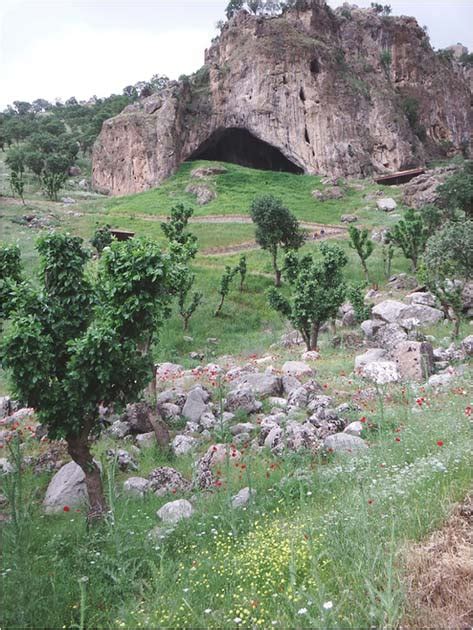 Bees, Not Neanderthal Florists, Dropped Pollen in Iraq’s Shanidar Cave | Ancient Origins