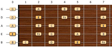 5 String Bass Guitar - Scales - E Natural Minor - Chord.Rocks