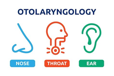 Premium Vector | Otolaryngology with nose, throat and ear icon.