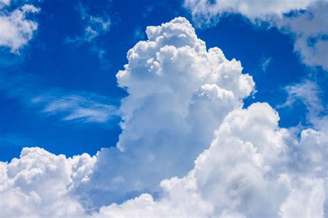 Soft and Serene Sky with White Clouds