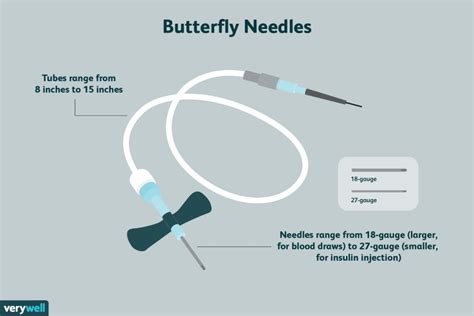 Butterfly Needles Explained - E Phlebotomy Training