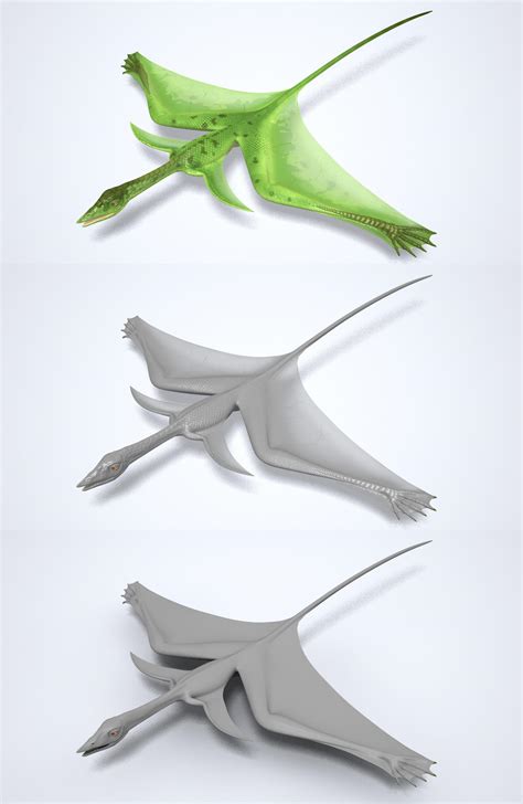 Sharovipteryx by japa2 on DeviantArt