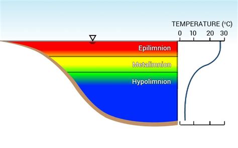 Stratified Lakes – EFDC+ Explorer Modeling System