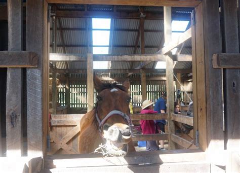 Collingwood Children's Farm | Abbotsford Melbourne City Farm