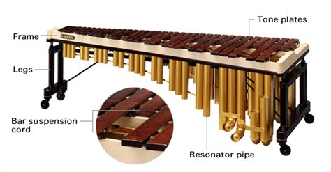 The Structure of the Marimba:What kind of instrument is the marimba ...