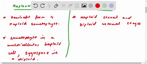 SOLVED: differences between homosporous and hetero sporous life cycles