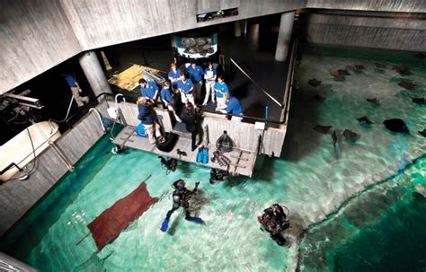 Baltimore Aquarium Behind The Scenes Tour - Aquarium Views