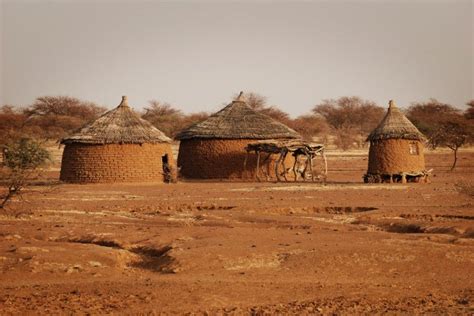 This is the African Sahel. The Sahel used to be covered with grass, and trees, and shrubs. But ...