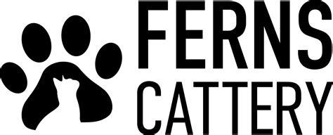 Gallery | Ferns Cattery