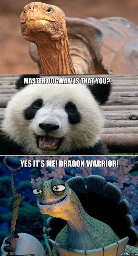 23+ Master Oogway Meme Quotes - BlaizeLauchlin