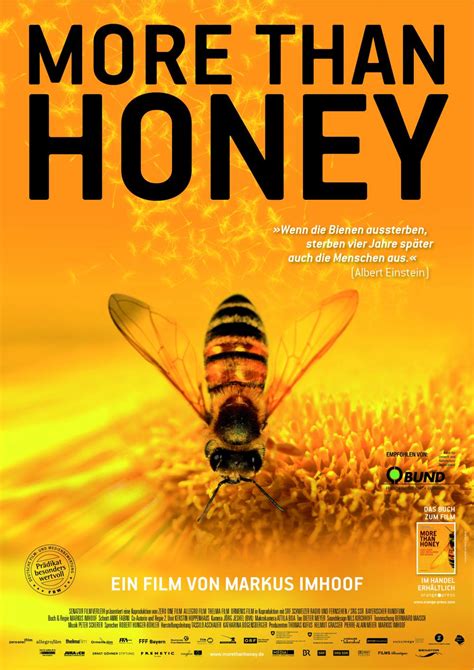 More than Honey - Film