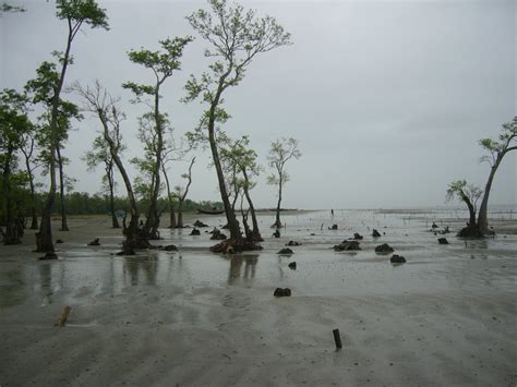 Kuakata Sea Beach of Bangladesh | Worldtravel92