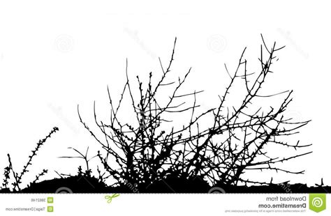 Bush Silhouette Vector at Vectorified.com | Collection of Bush Silhouette Vector free for ...