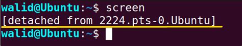 The “screen” Command in Linux [13 Practical Examples]