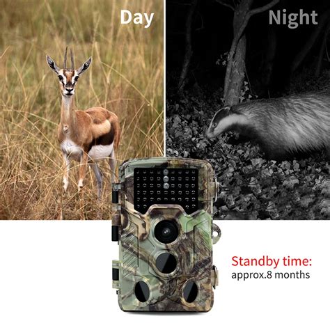 HD infrared night vision camera 12MP 1080P Wildlife Game Camera Low ...